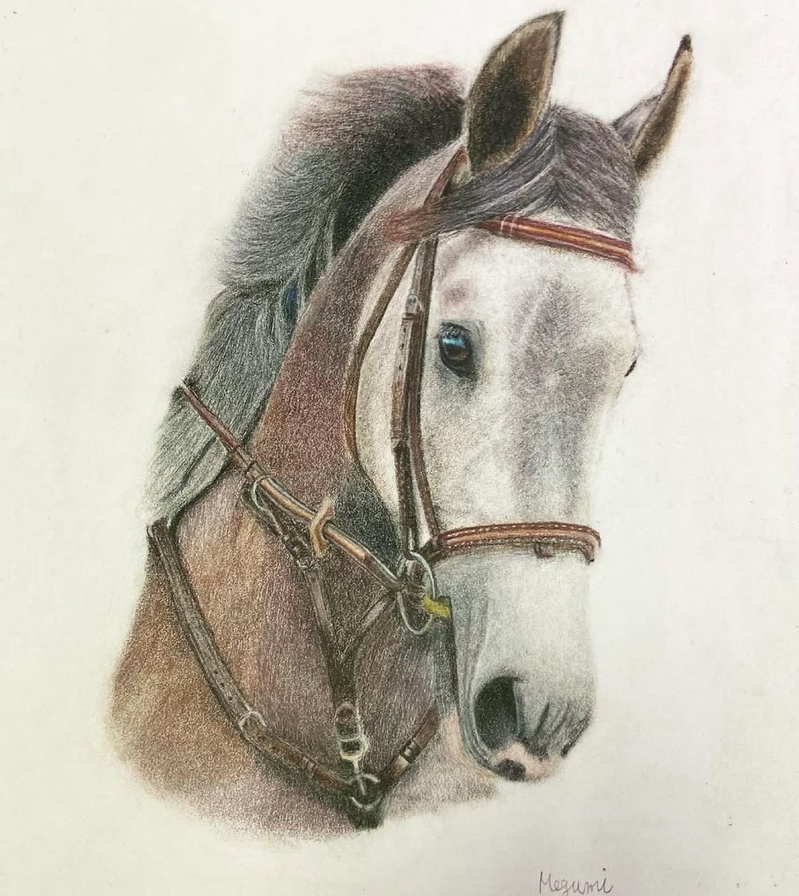 Meg Collection #43512