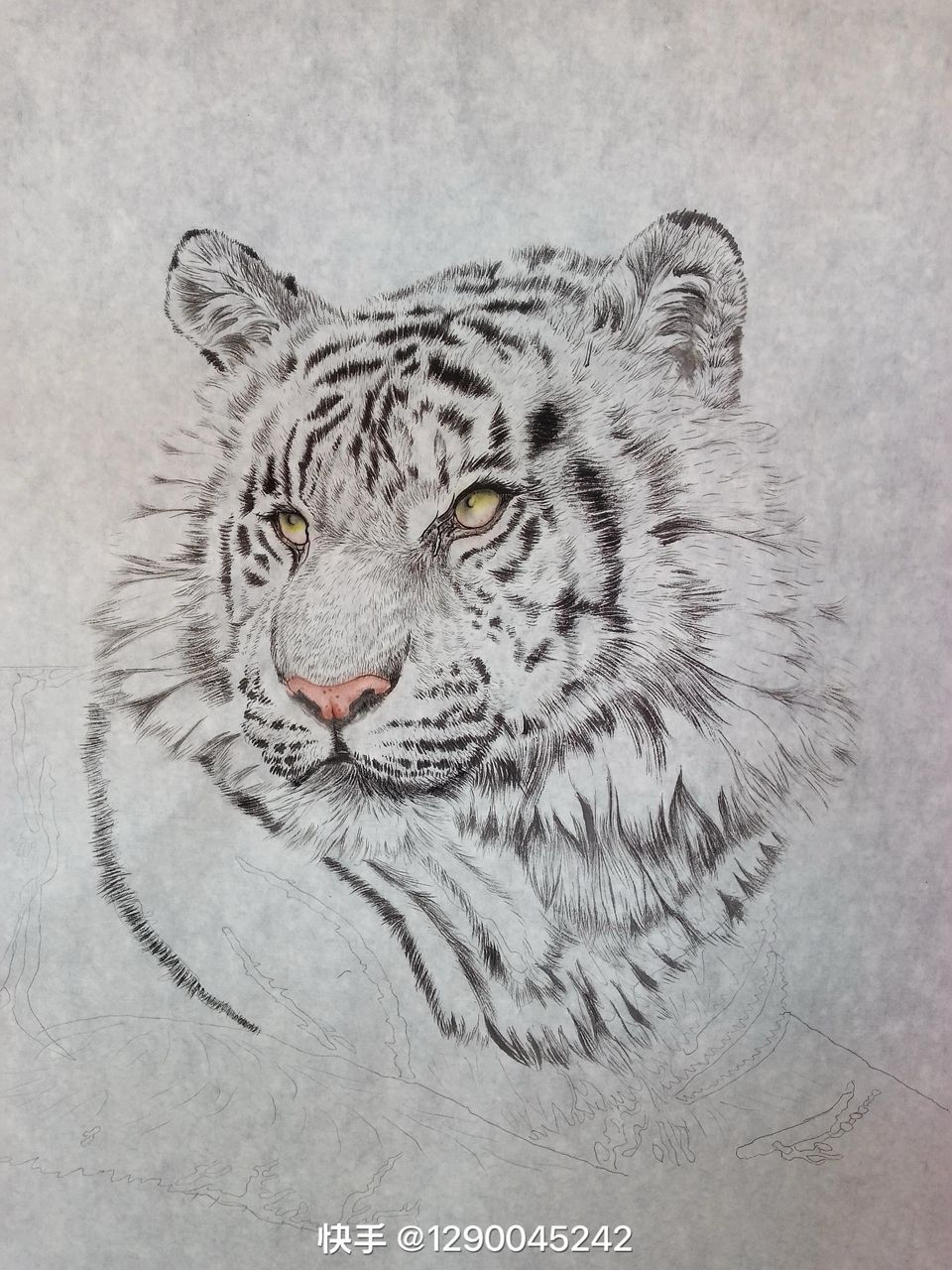 Kings collection #34